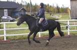 Tallikuva