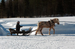 Tallikuva